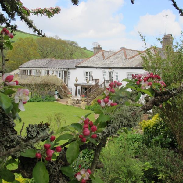 A view of the Manor Farmhouse through the crab apple tree blossom